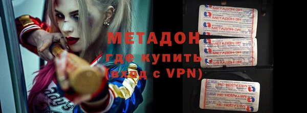 прущие грибы Абаза