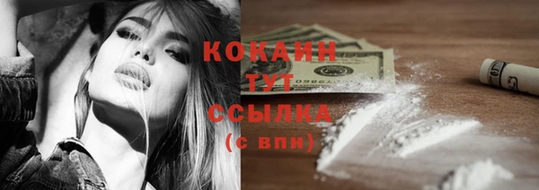 прущие грибы Абаза