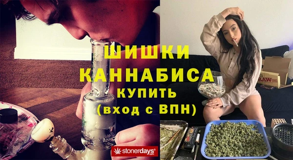 прущие грибы Абаза