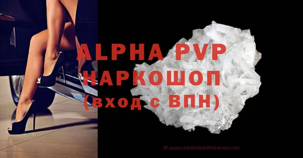 прущие грибы Абаза