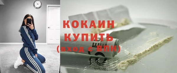прущие грибы Абаза