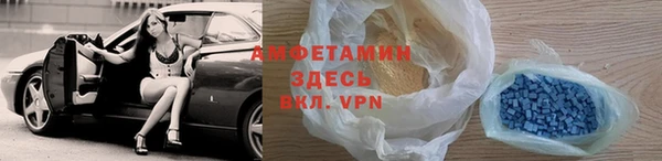 прущие грибы Абаза