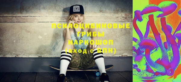 дурь Надым