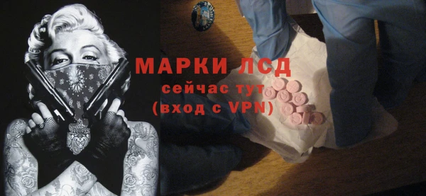 прущие грибы Абаза